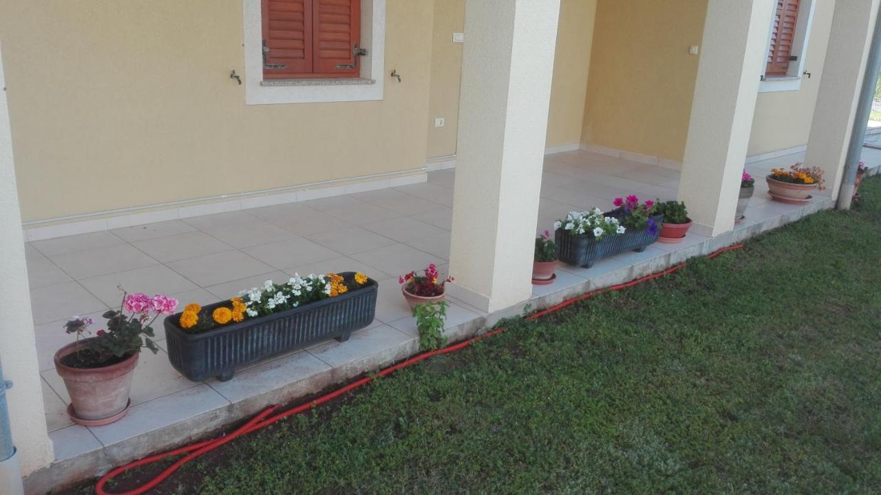 Apartment Barba Ližnjan Εξωτερικό φωτογραφία